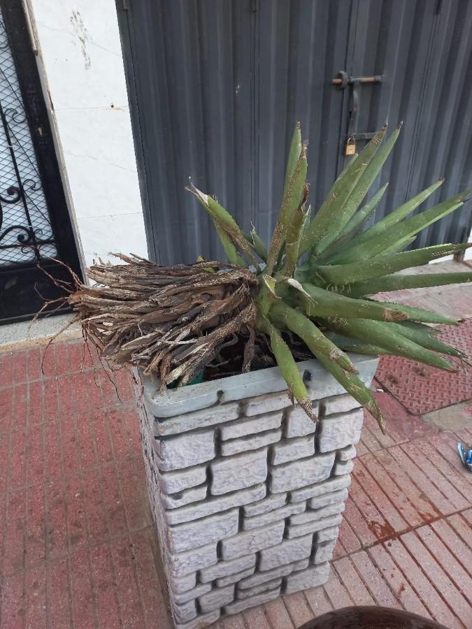 Appartement Hassania Casablanca Exteriör bild